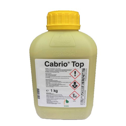 Cabrio Top 1 KG