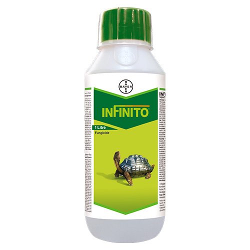 Infinito Fungicida Bayer